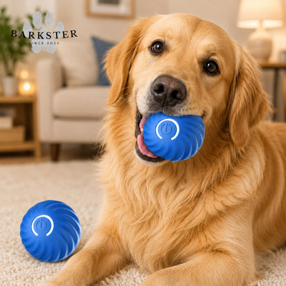 Pelota Interactiva Automática | Recargable USB